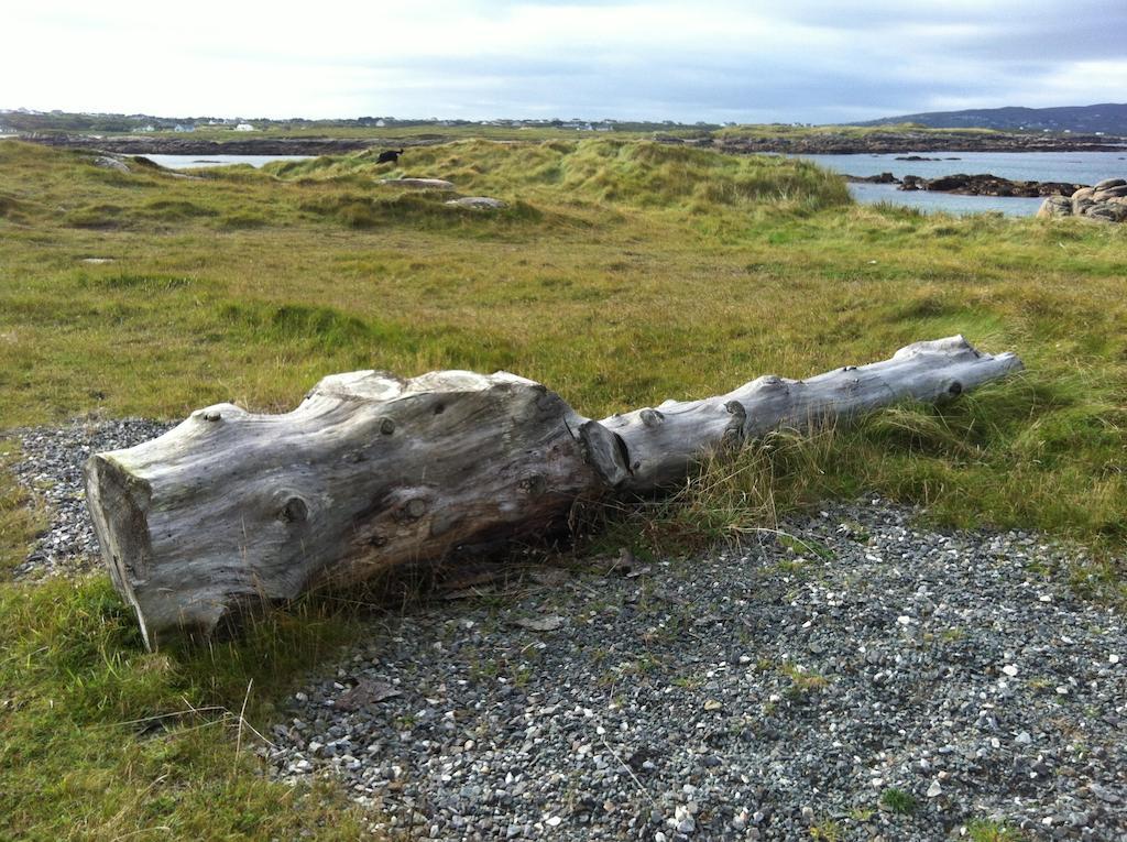 Teach Donncadh B&B Kincasslagh Esterno foto
