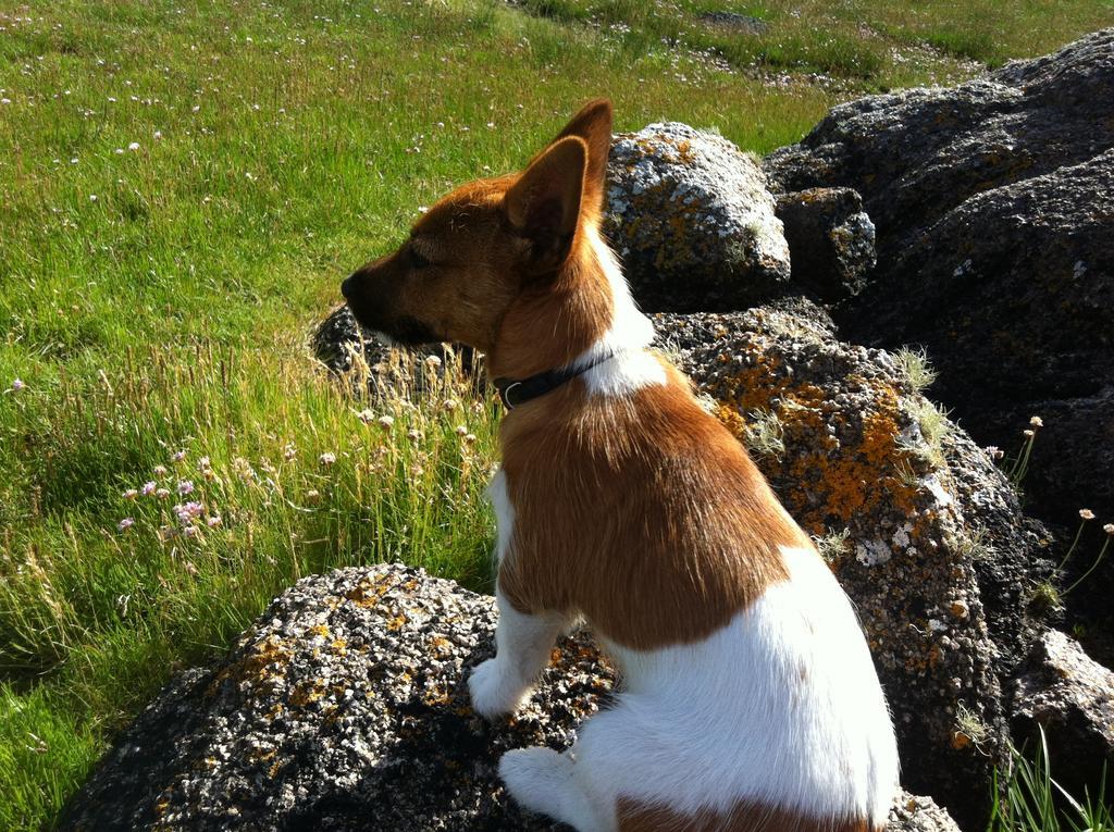 Teach Donncadh B&B Kincasslagh Esterno foto