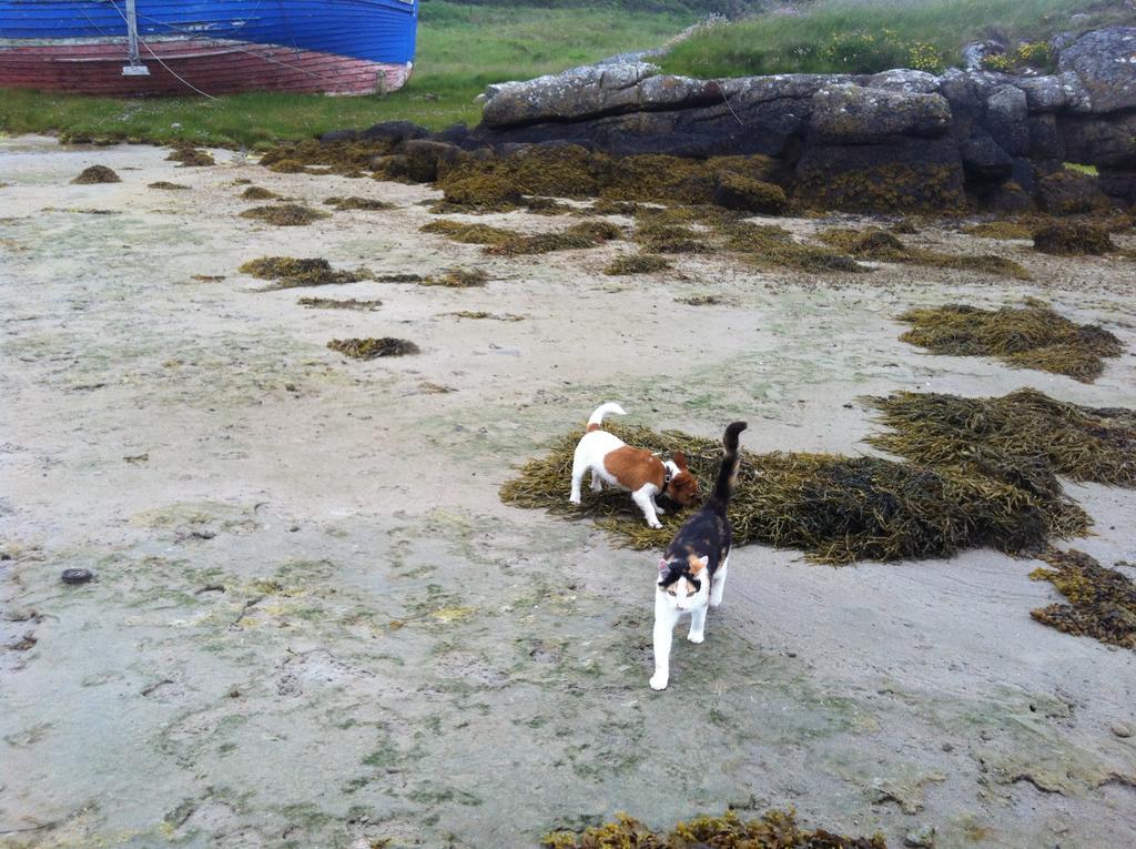 Teach Donncadh B&B Kincasslagh Esterno foto