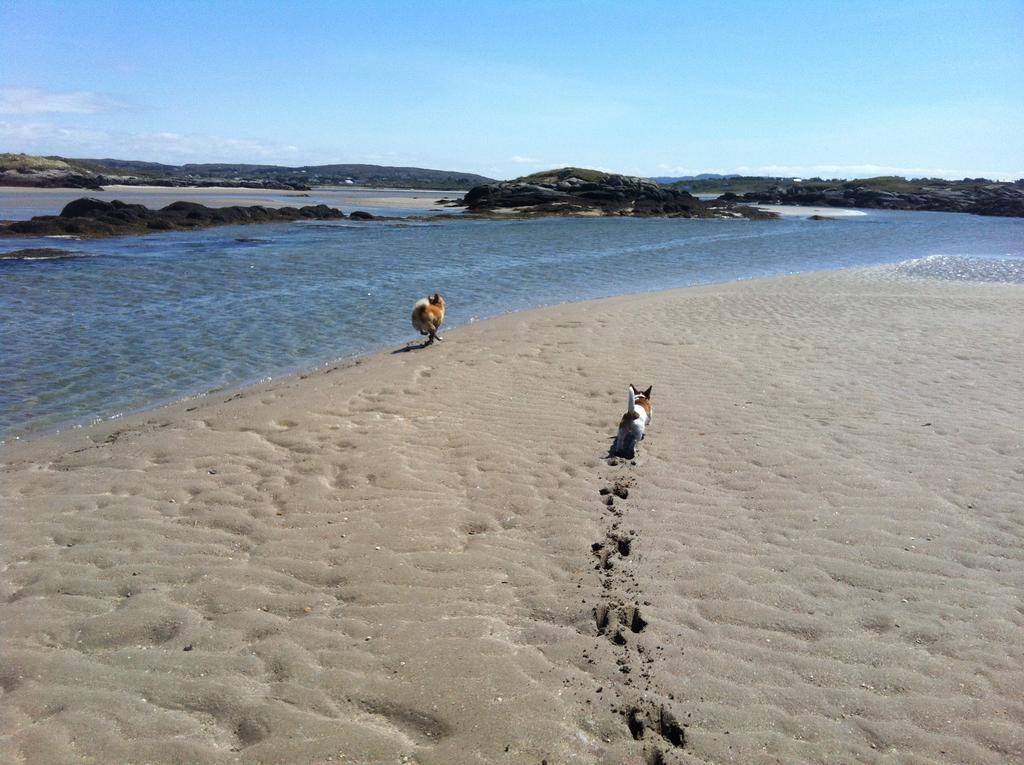 Teach Donncadh B&B Kincasslagh Esterno foto